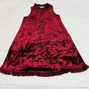 Annalee + Hope Burgundy Crushed Velvet Dress